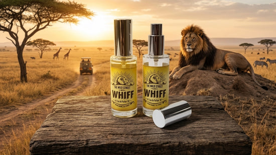 Whiff Eau de Parfum 50ml